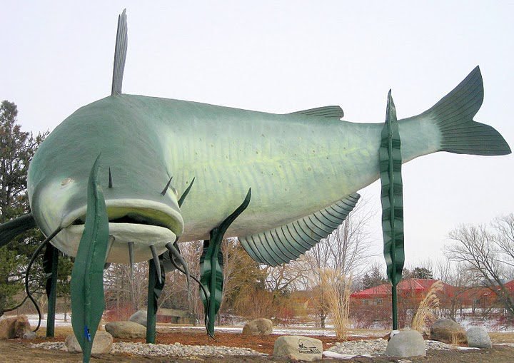 Fishing 1 Best Time to Fish Near Dunnville & Port Maitland dunnville fishing lake Erie